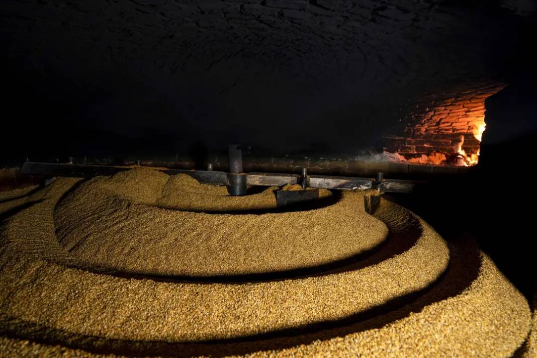 Manavgat Altın Susamının İzinde 5